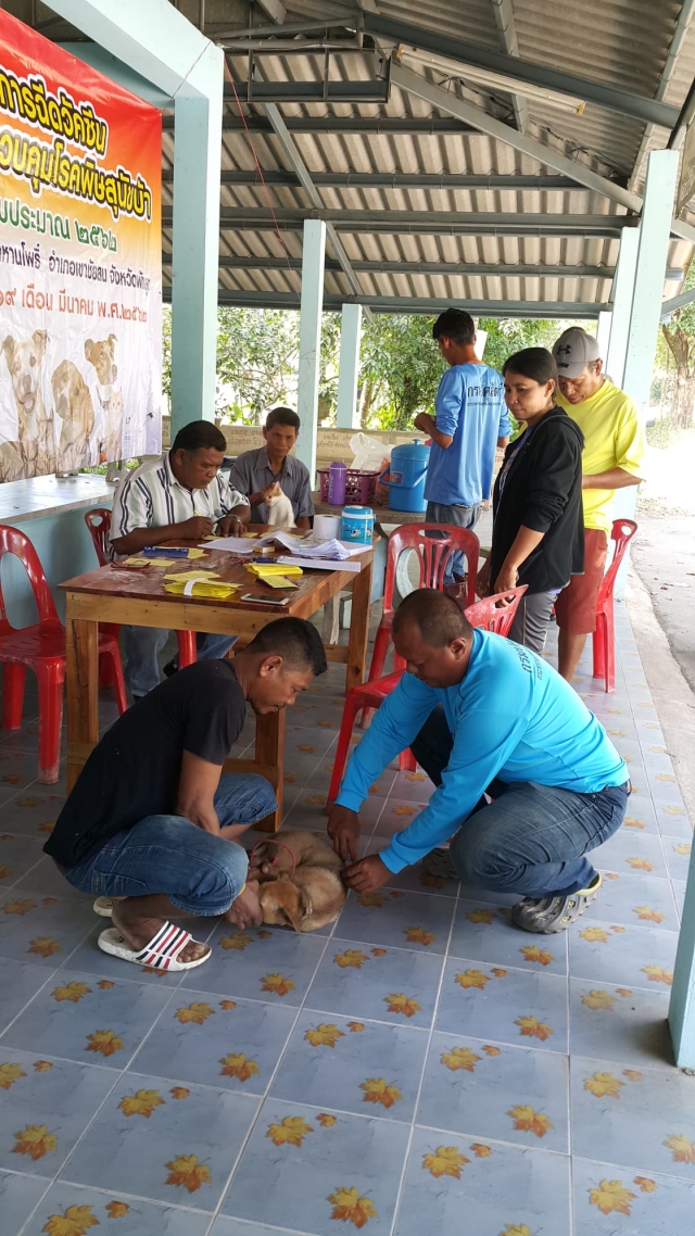 โครงการฉีดวัคซีนป้องกันโรคพิษสุนัขบ้า 2562